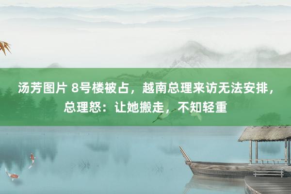 汤芳图片 8号楼被占,越南总理来访无法安排,总理怒:让她搬走,不知轻重