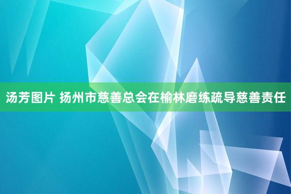 汤芳图片 扬州市慈善总会在榆林磨练疏导慈善责任