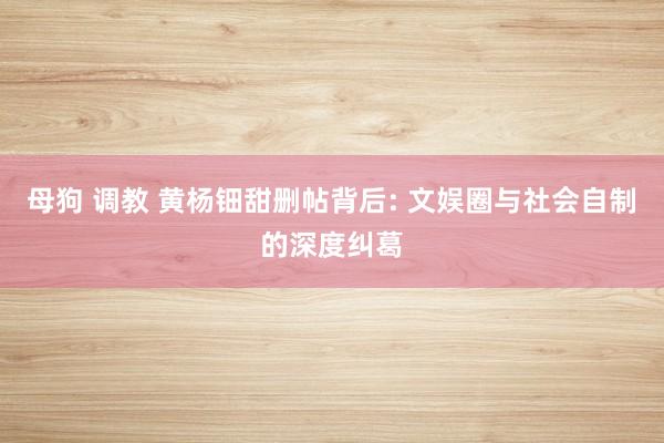 母狗 调教 黄杨钿甜删帖背后: 文娱圈与社会自制的深度纠葛
