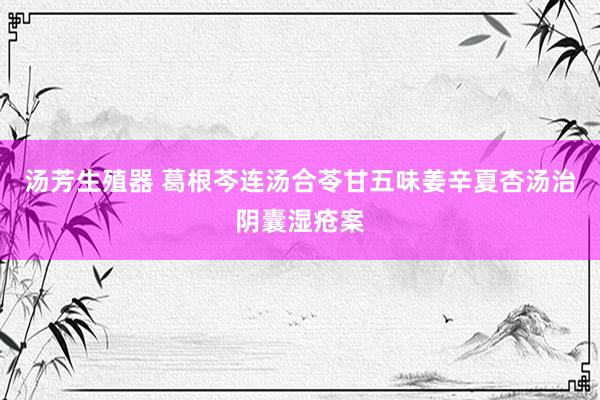 汤芳生殖器 葛根芩连汤合苓甘五味姜辛夏杏汤治阴囊湿疮案